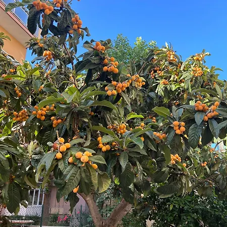 Zona Residenziale, Due Passi Dal Mare